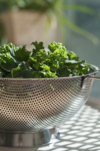 Colander-of-Kale